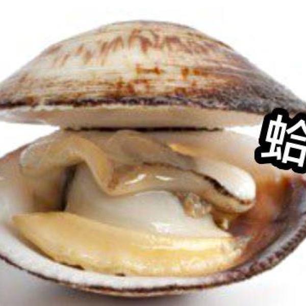 xxxxx產品封面圖