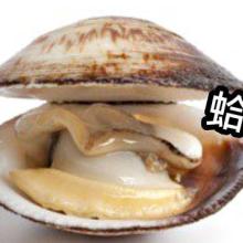 xxxxx產品封面圖